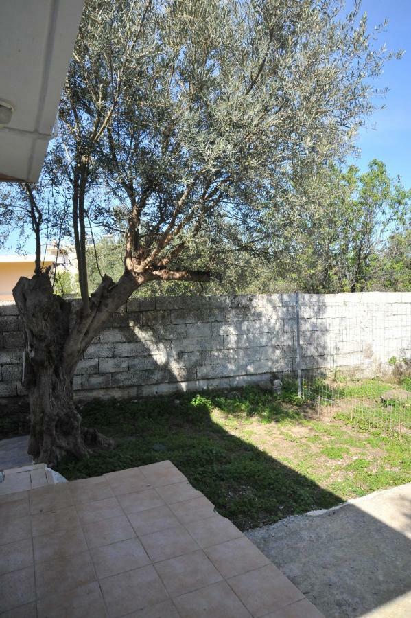 Nikitas Apartment Città di Kos Esterno foto
